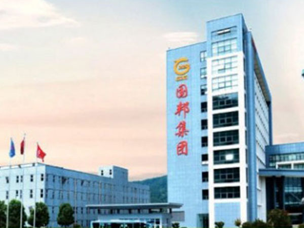 某大型集團風(fēng)機項目